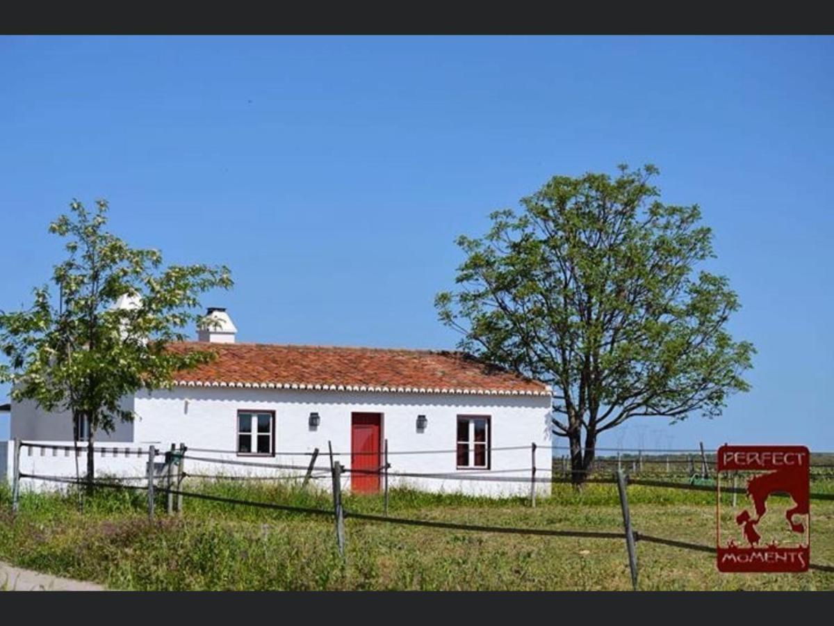 Monte Da Boavista - Country Family House Villa Alter do Chao Exterior photo