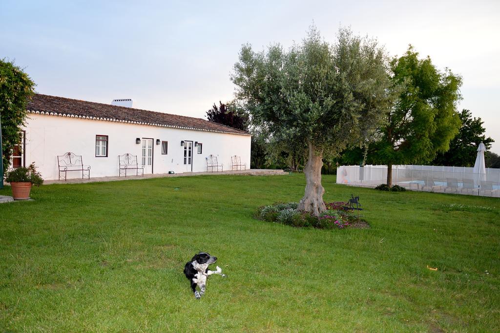 Monte Da Boavista - Country Family House Villa Alter do Chao Exterior photo